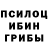 Галлюциногенные грибы мухоморы Dmitry Gaming