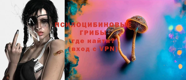 mdpv Белокуриха