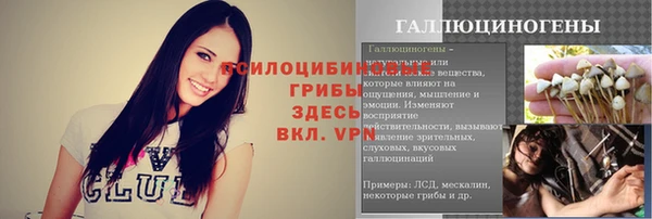 mdpv Белокуриха