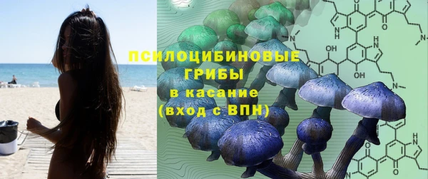 ECSTASY Беломорск