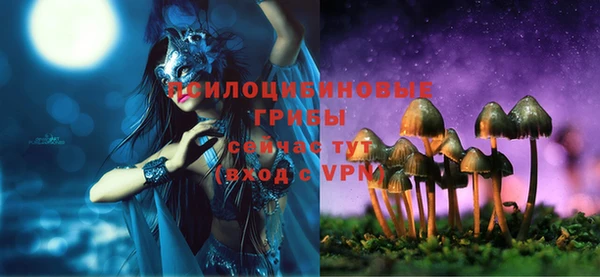 экстази Богданович