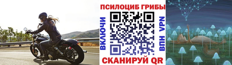 Псилоцибиновые грибы Psilocybine cubensis  купить  сайты  Боровск 
